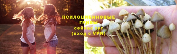 амф Осташков