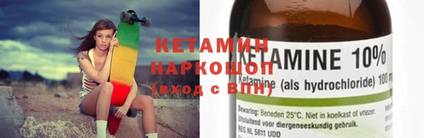 индика Беломорск