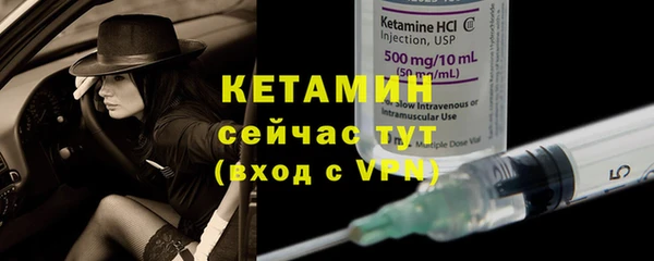индика Беломорск