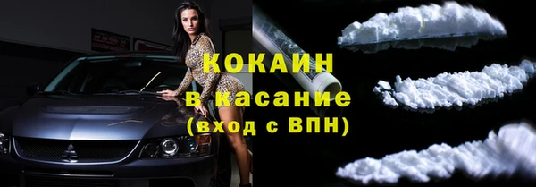индика Беломорск
