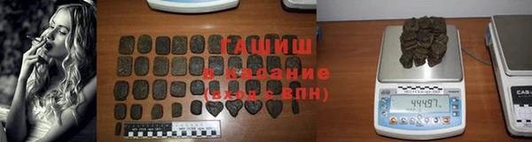 индика Беломорск