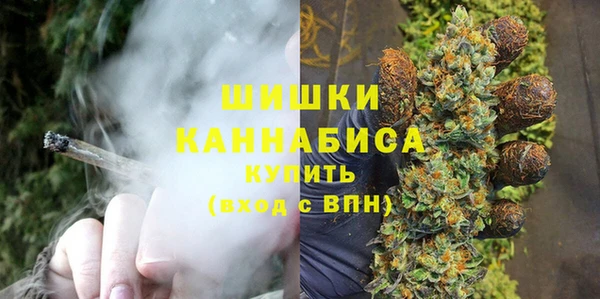индика Беломорск