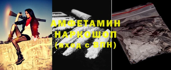 индика Беломорск